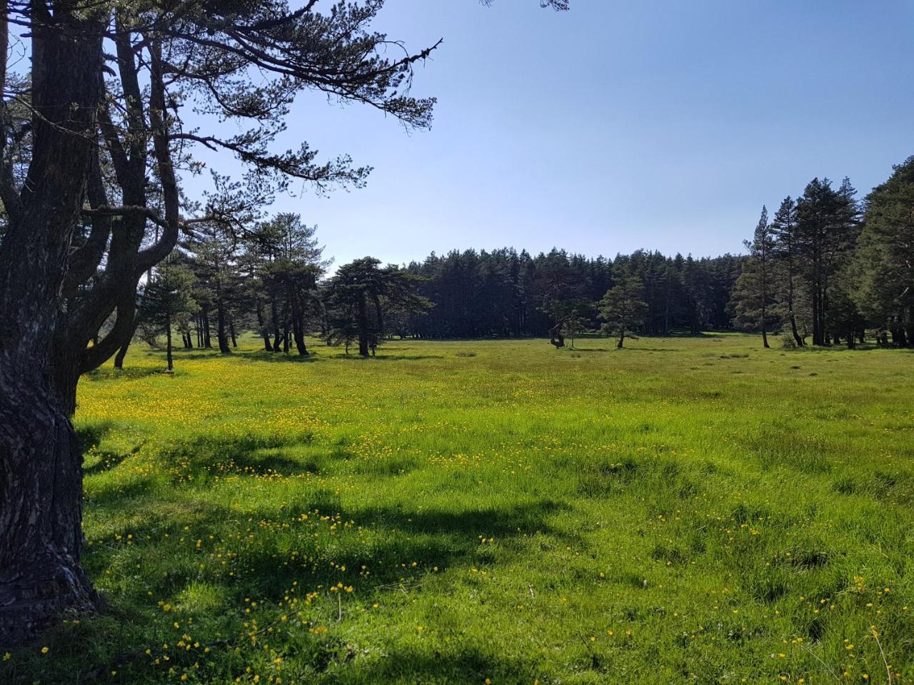 Bolu Adya Hotel ภายนอก รูปภาพ